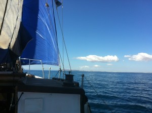 sail2 (Segeln – Compass Rose)