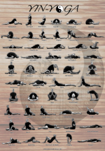 Yin-Poster (Chandini Yoga)